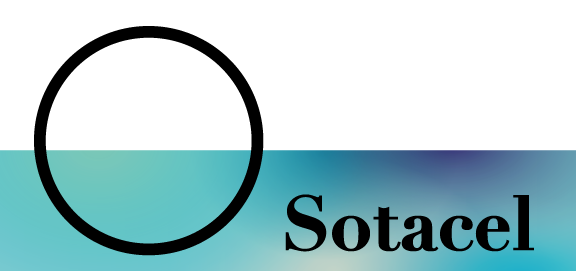 logo-sotacel